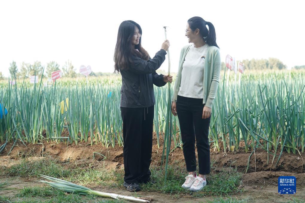 奥门永利电子游戏平台