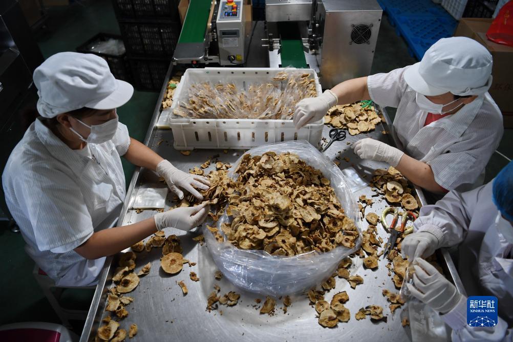 澳门巴黎人注册送